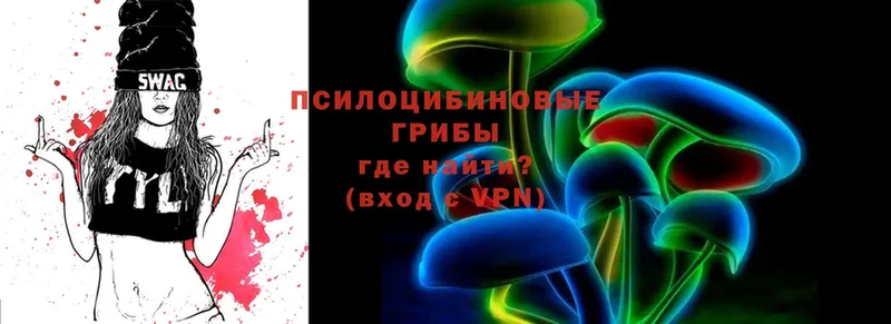 где продают   Губкинский  Галлюциногенные грибы MAGIC MUSHROOMS 